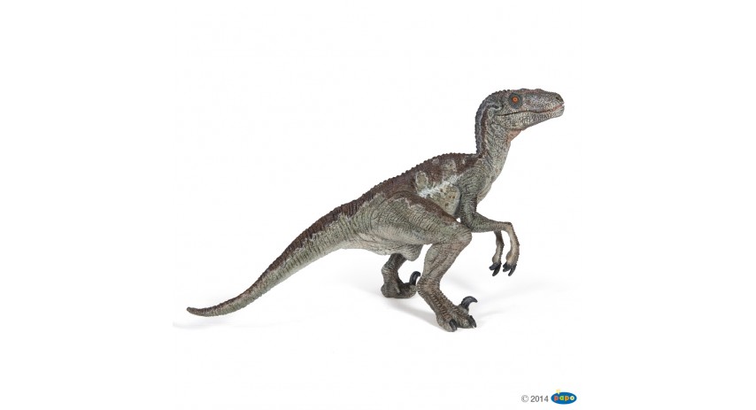 Papo 55023 Dinosaurs VELOCIRAPTOR - Figurine - Toys and Hobbies 4 All