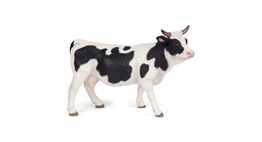 BLACK AND WHITE COW