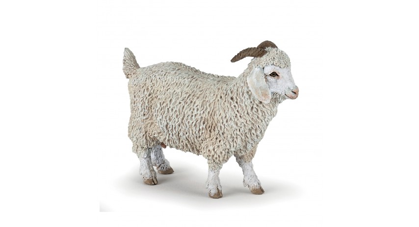 ANGORA GOAT