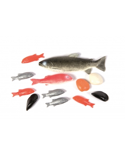 Realistic Fish Play Food Set for Toddlers, 12-Piece Play Kitchen Food for Ages 2+