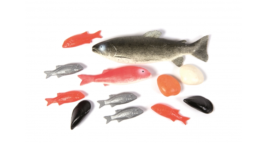 Realistic Fish Play Food Set for Toddlers, 12-Piece Play Kitchen Food for Ages 2+