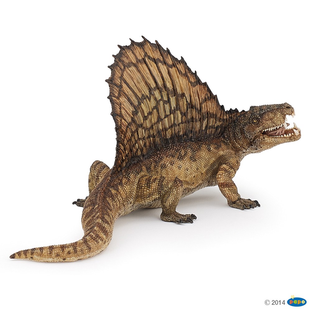 DIMETRODON