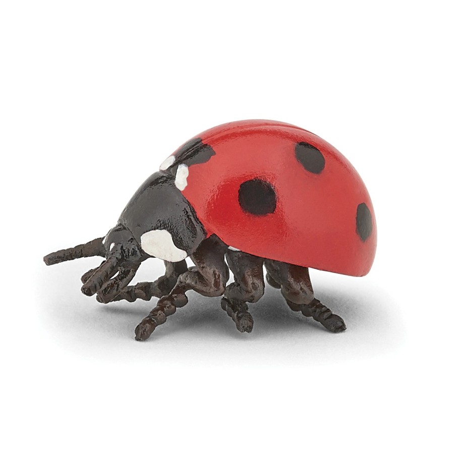 LADYBIRD