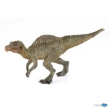 YOUNG SPINOSAURUS