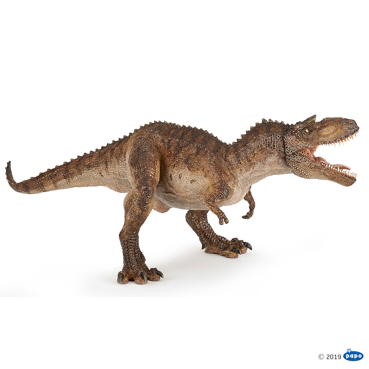 GORGOSAURUS