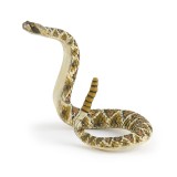 RATTLESNAKE