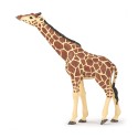 Papo 50236 Wild Animals GIRAFFE HEAD RAISED - Figurine