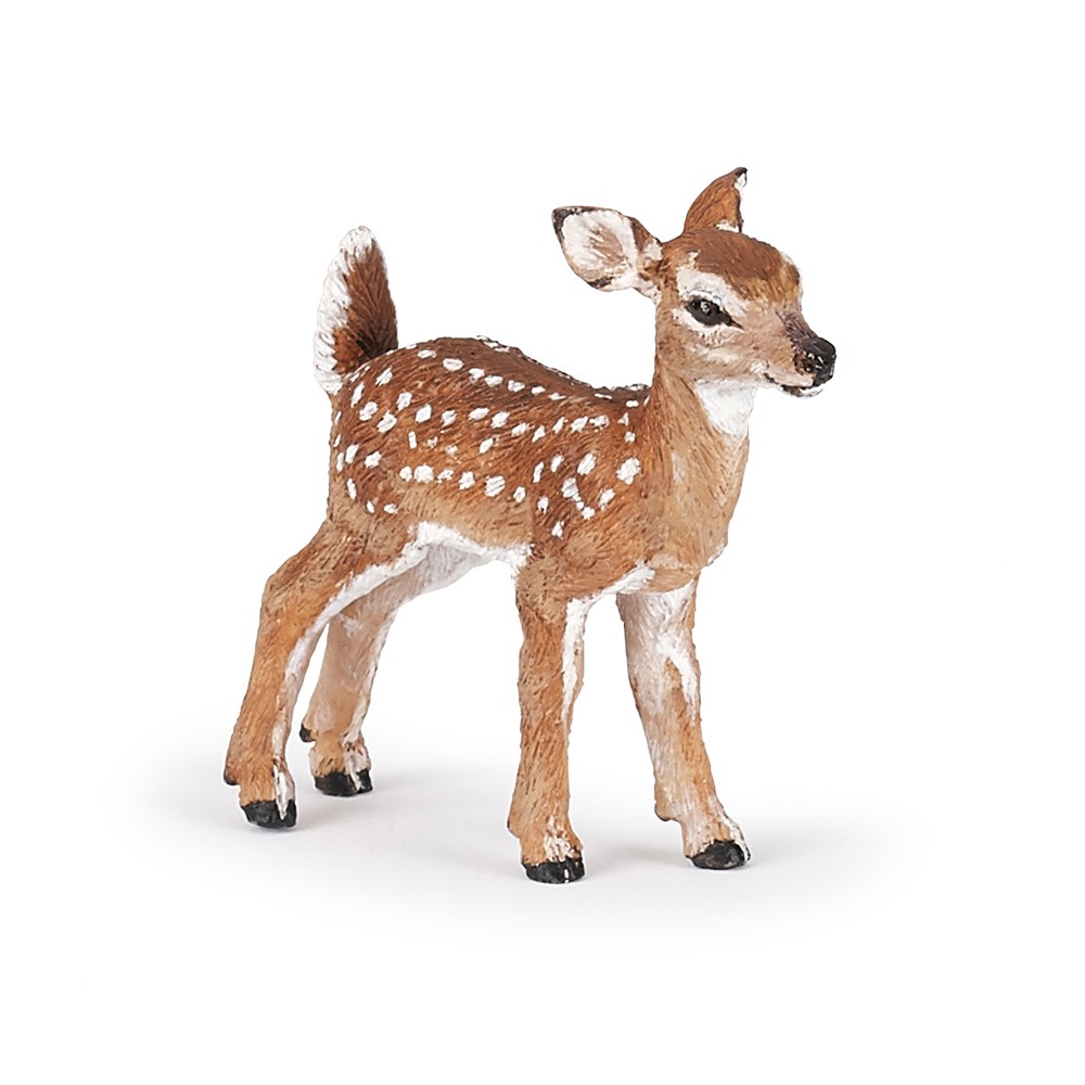 FAWN