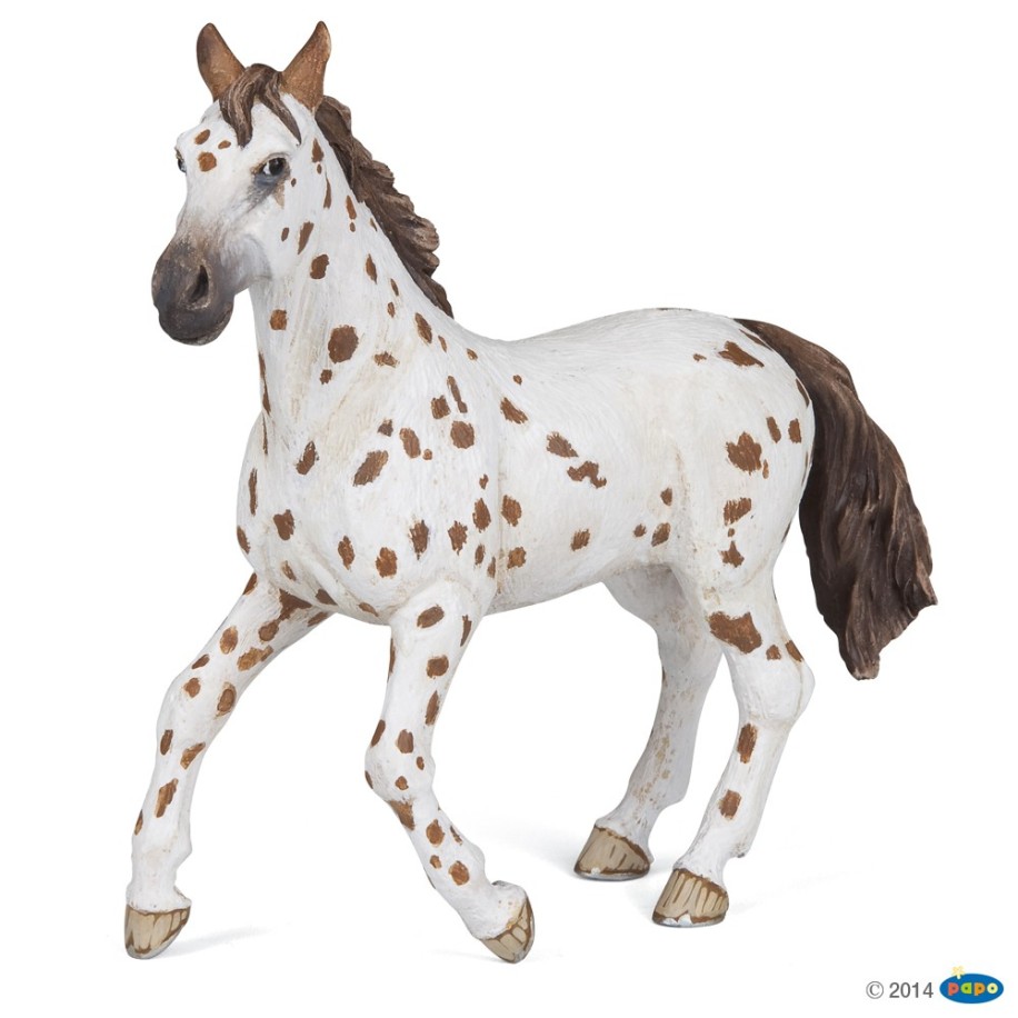 BROWN APPALOOSA MARE