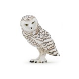 SNOWY OWL