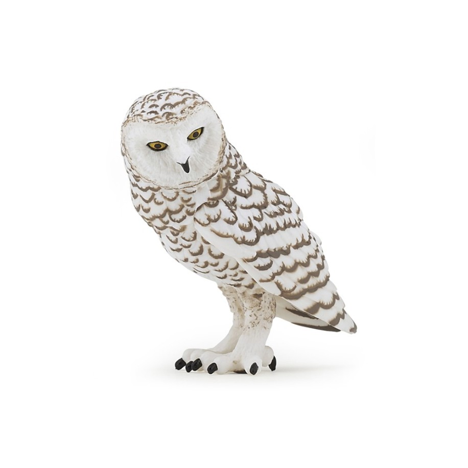 SNOWY OWL