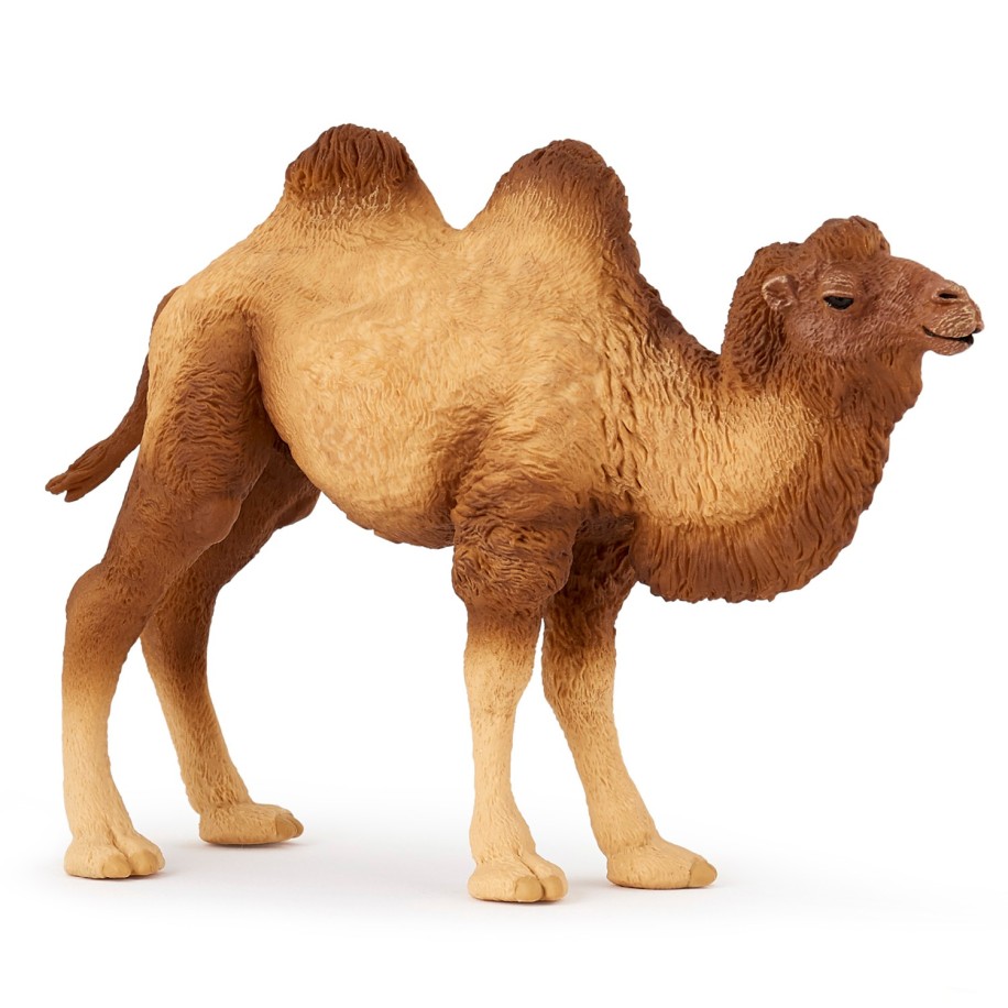 BACTRIAN CAMEL