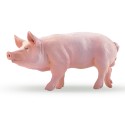 Papo 51044 Farm Animals BOAR - Figurine