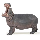 HIPPOPOTAMUS