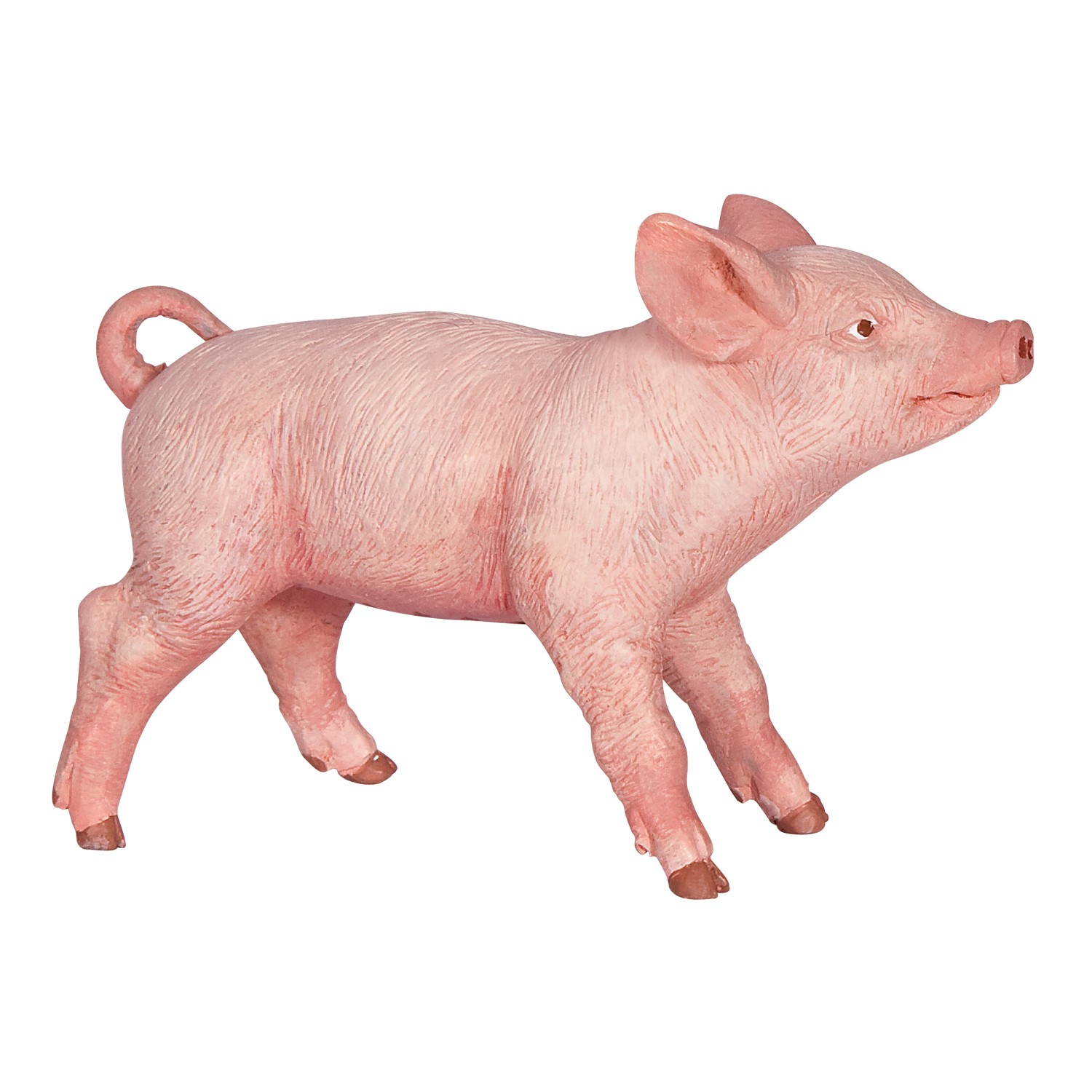 FEMALE PIGLET