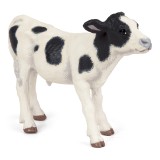 BLACK AND WHITE CALF