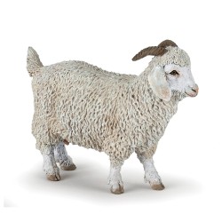 ANGORA GOAT