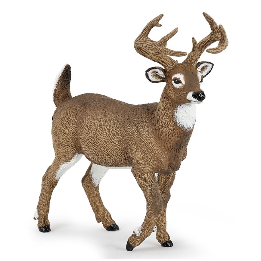 WHITE-TAILED DEER