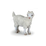 YOUNG ANGORA GOAT
