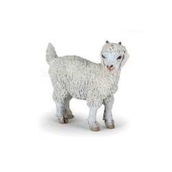 YOUNG ANGORA GOAT