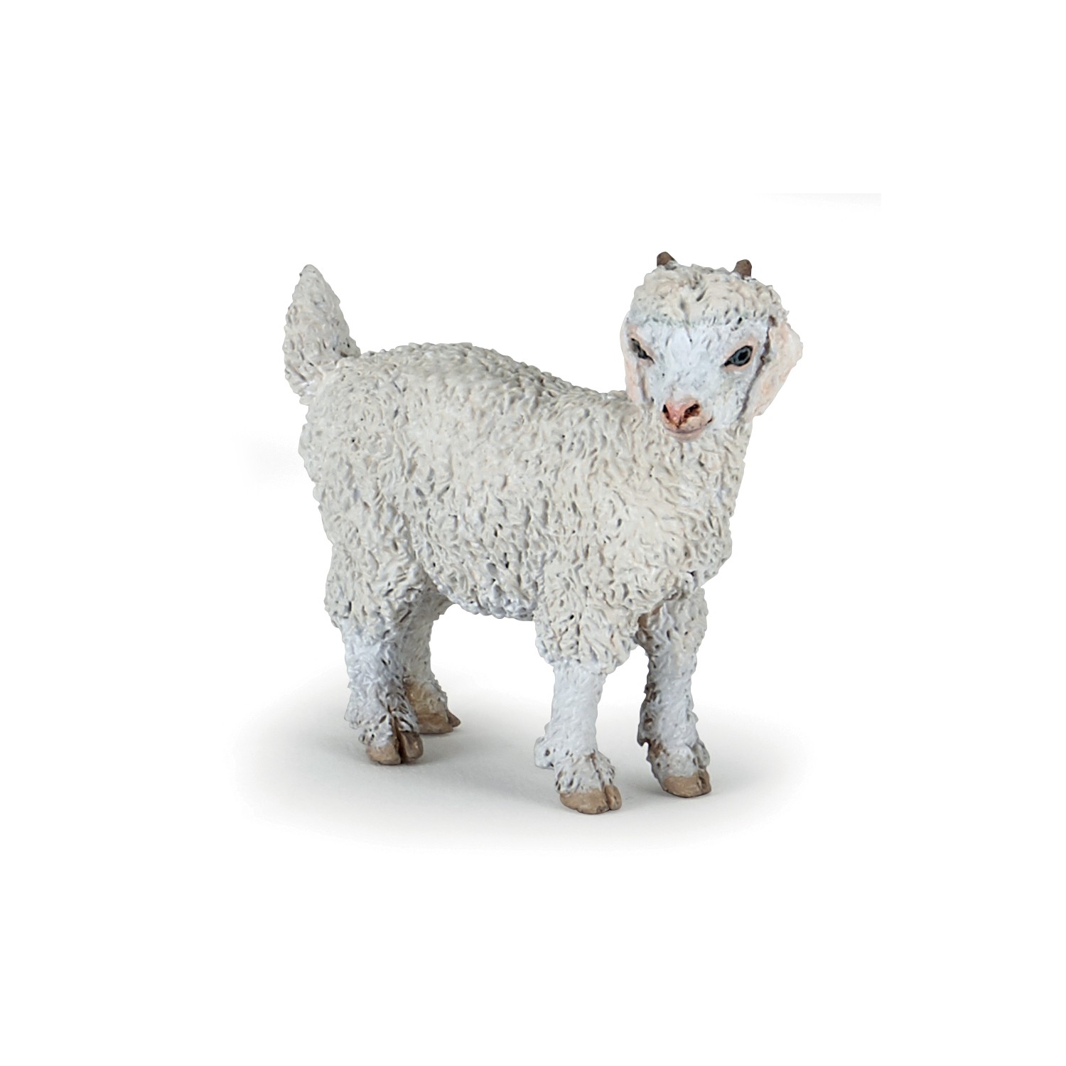 YOUNG ANGORA GOAT