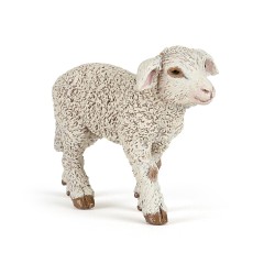 MERINOS LAMB