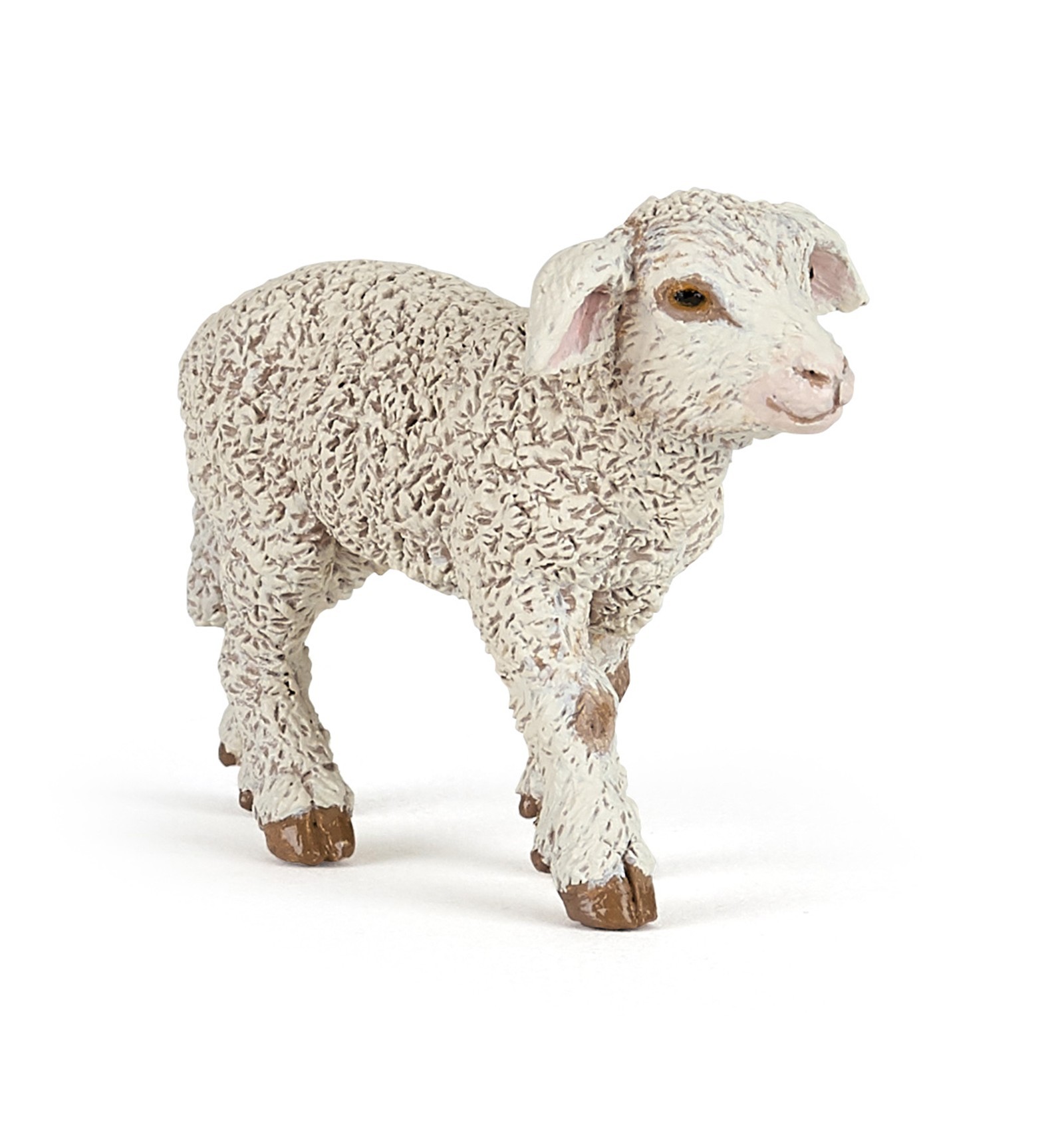 MERINOS LAMB
