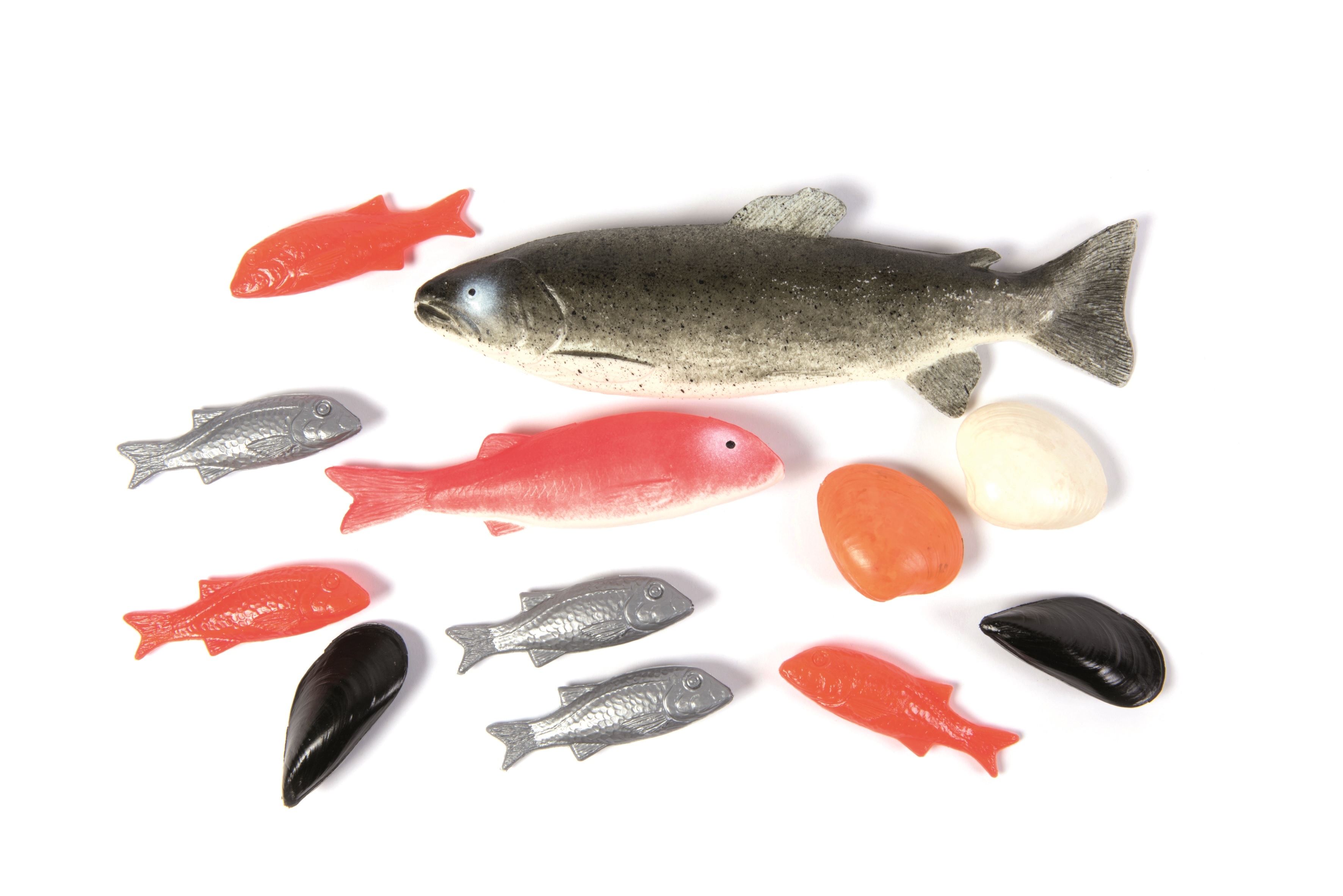 Realistic Fish Play Food Set for Toddlers, 12-Piece Play Kitchen Food for Ages 2+